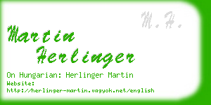 martin herlinger business card